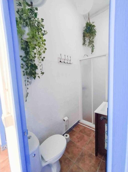 “Flor De Sal” Charming Traditional Andalusian House อายามอนเต ภายนอก รูปภาพ
